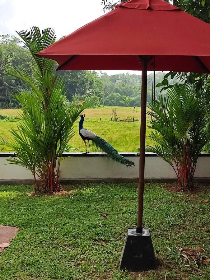Villa Red Pool Hikkaduwa Bagian luar foto
